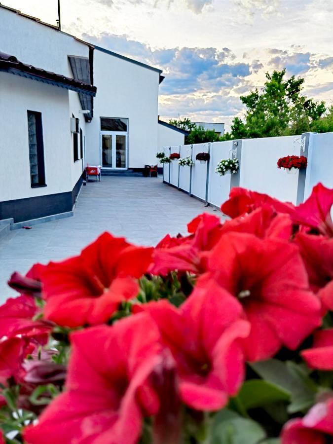 Hotel White House Alexandria Zewnętrze zdjęcie
